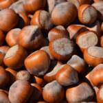 hazelnuts, nutrient, healthy